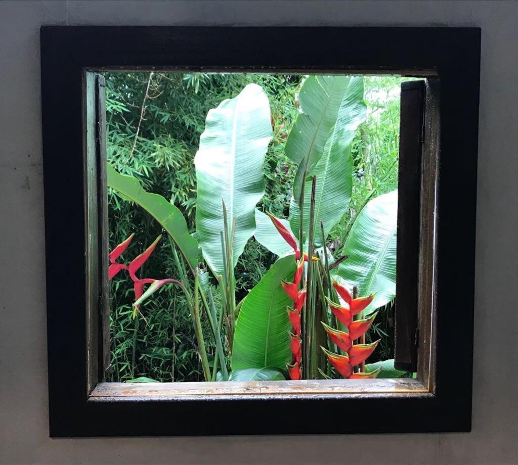 Pousada Rainforest House - Ilha Grande 외부 사진