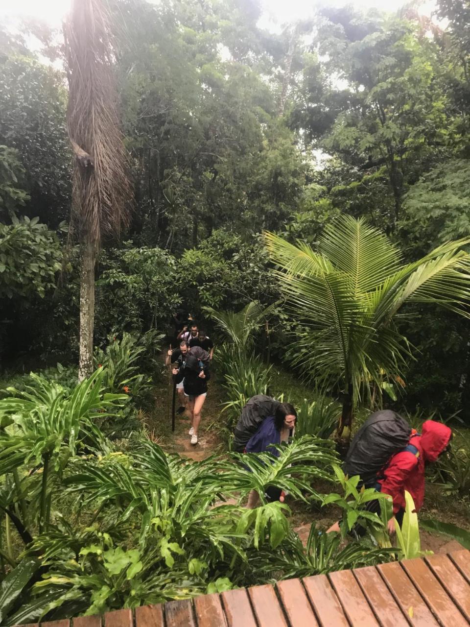 Pousada Rainforest House - Ilha Grande 외부 사진