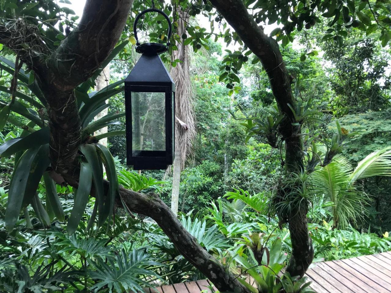 Pousada Rainforest House - Ilha Grande 외부 사진