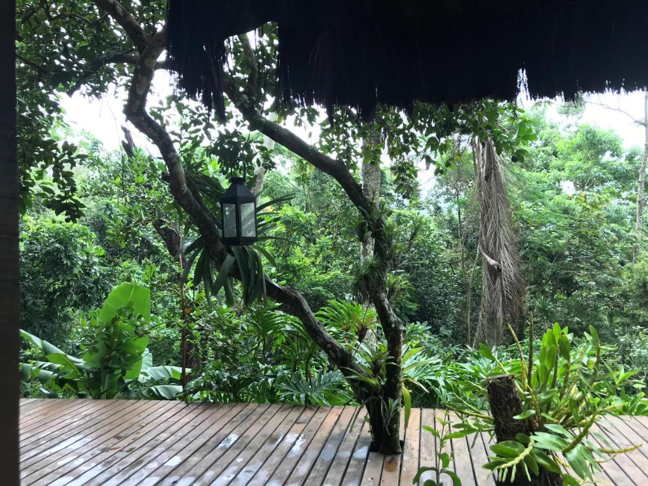 Pousada Rainforest House - Ilha Grande 외부 사진